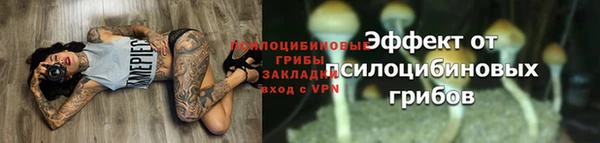 мет Лагань
