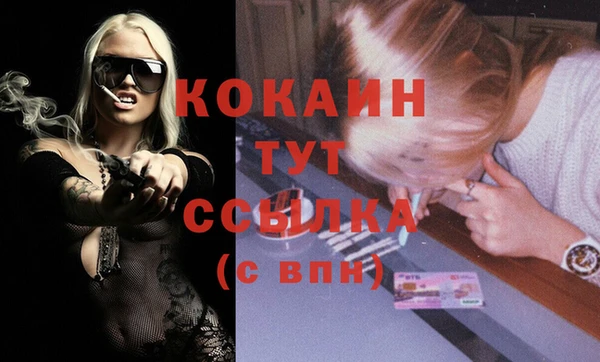 мет Ладушкин