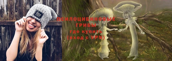 мет Ладушкин