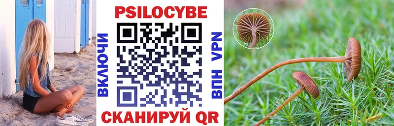 как найти закладки  Углич  Псилоцибиновые грибы Psilocybine cubensis 
