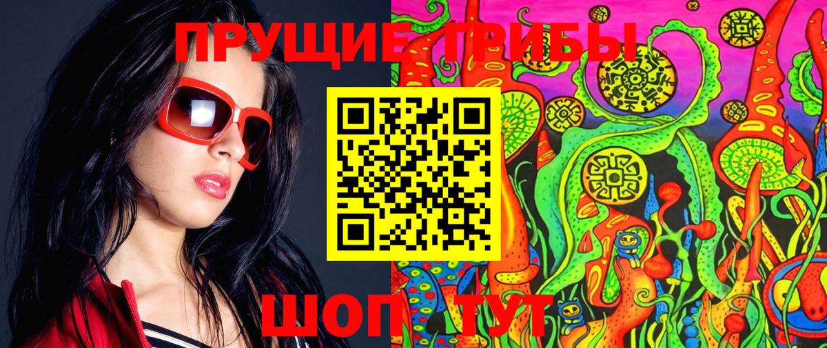Псилоцибиновые грибы Psilocybe Углич